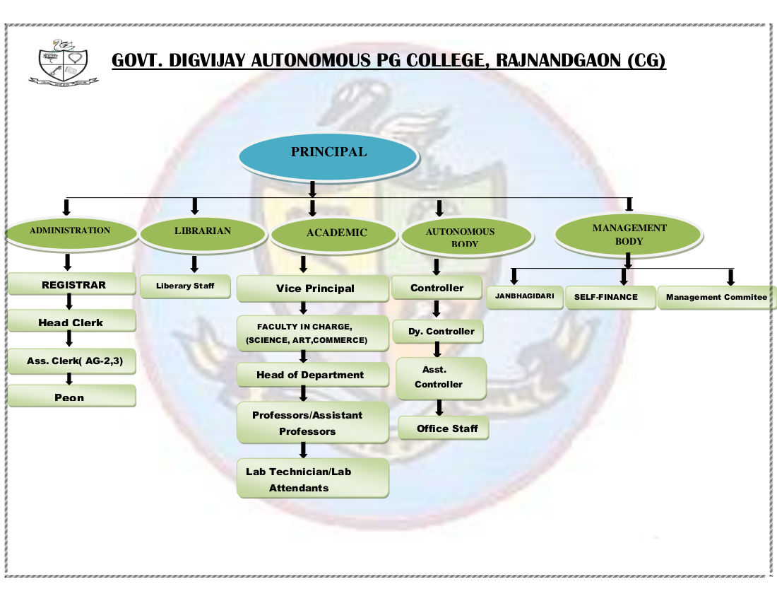 Organogram and Examination committee 