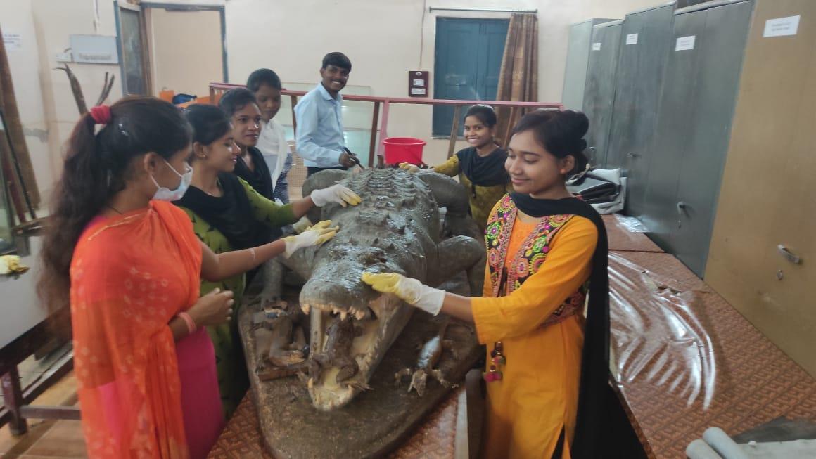 Govt. Digvijay Autonomous College-Museum maintenance